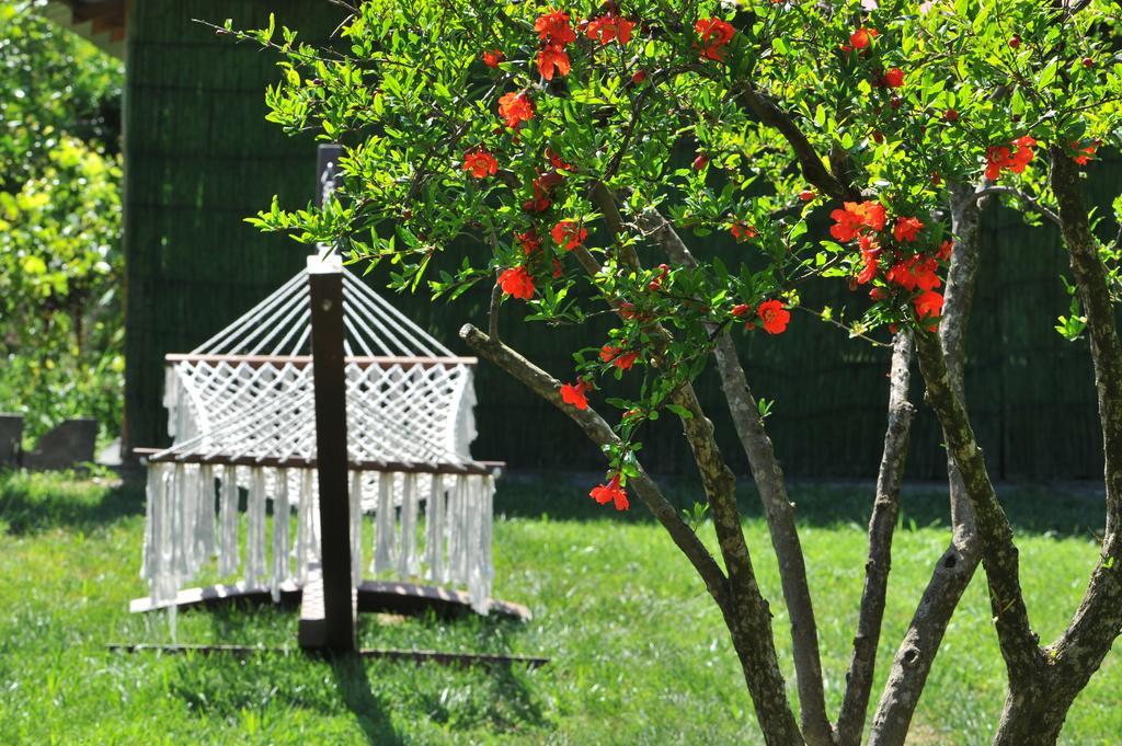 Grenadine Lodge داليان المظهر الخارجي الصورة