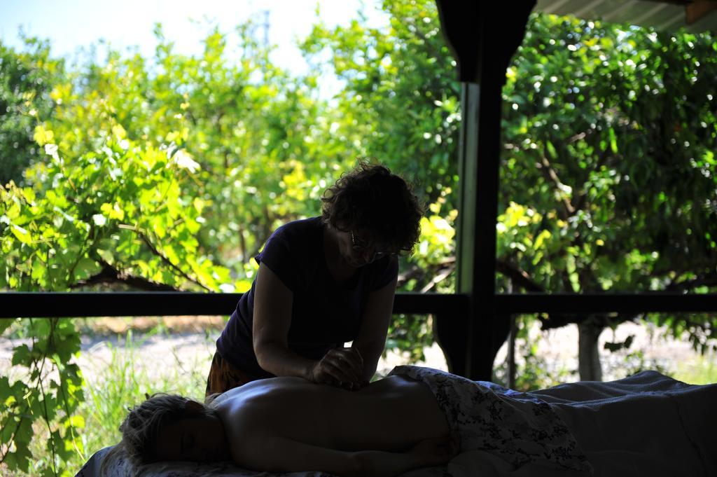 Grenadine Lodge داليان المظهر الخارجي الصورة