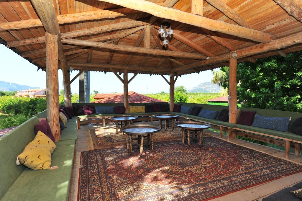 Grenadine Lodge داليان المظهر الخارجي الصورة