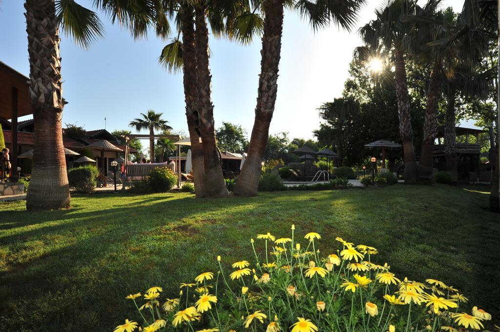 Grenadine Lodge داليان المظهر الخارجي الصورة